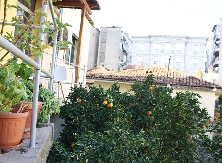 Orange Villa Hotel Tirana Exterior foto